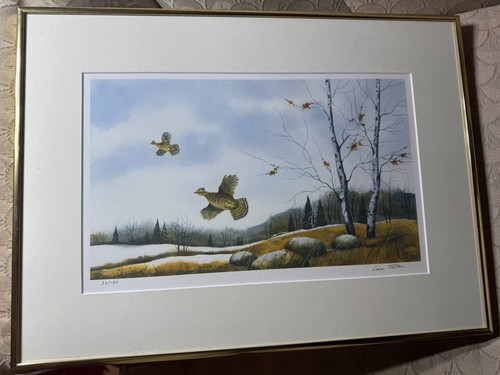 Cece tucker grouse - "grouse, in