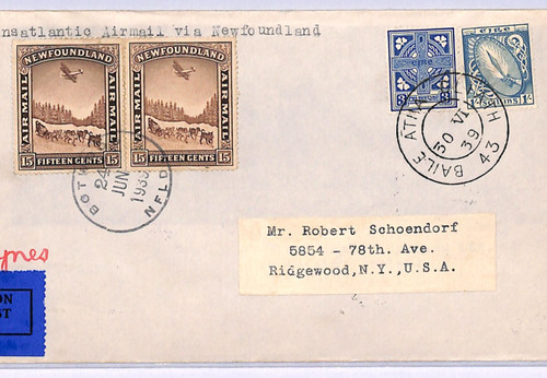 Newfoundland ireland mixed - newfoundland/ireland,