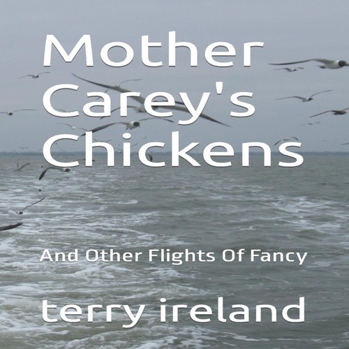 Mother carey chickens - mother, carey's